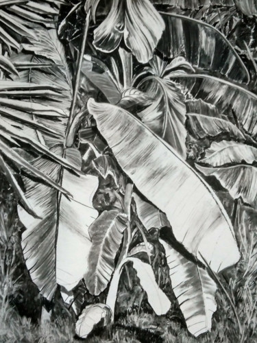 Tekening getiteld "Thick Jungle (Charc…" door Dominic Virtosu, Origineel Kunstwerk, Houtskool