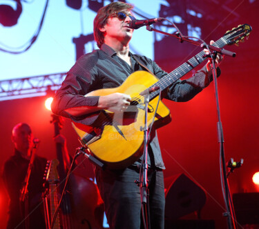 Photographie intitulée "Thomas Dutronc" par Dominick, Œuvre d'art originale, Autre