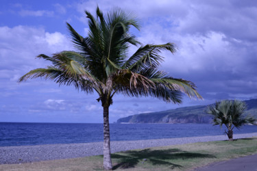 Photography titled "plage-abandonnée" by Dominique Alquier, Original Artwork