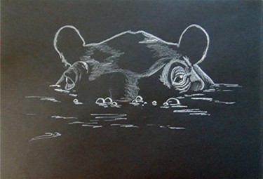 Drawing titled "hippo-sous-l'eau." by Dominique Blondel, Original Artwork, Pencil