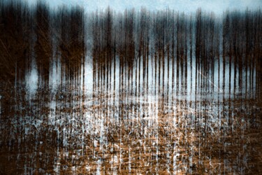 Photographie intitulée "Les Arbres Bleus" par Dominique Cahier, Œuvre d'art originale, Photographie numérique