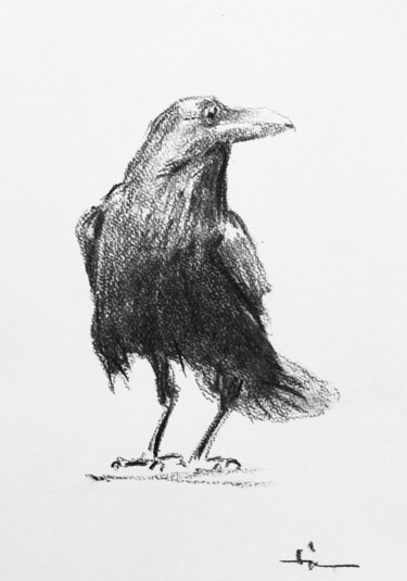 Drawing titled "Le Corbeau" by Dominique Dève, Original Artwork, Charcoal