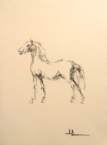 Drawing titled "Horse Study inspire…" by Dominique Dève, Original Artwork, Charcoal