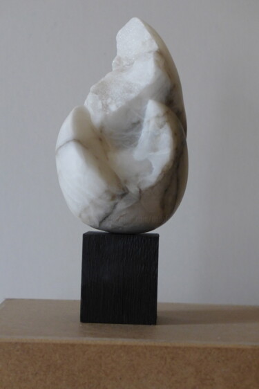 Sculpture titled "sans titre" by Dominique Ferrandon-Lamy, Original Artwork
