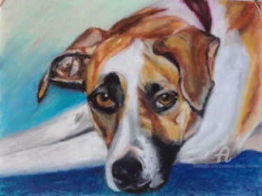 Peinture intitulée "Un air de chien bat…" par Dominique Gobelin Mansour, Œuvre d'art originale, Pastel