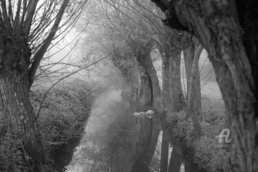 Photographie intitulée "8601 ruisseau" par Dominique Goujard, Œuvre d'art originale