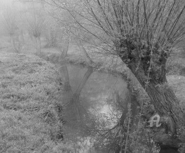 Photographie intitulée "8643 ruisseau" par Dominique Goujard, Œuvre d'art originale