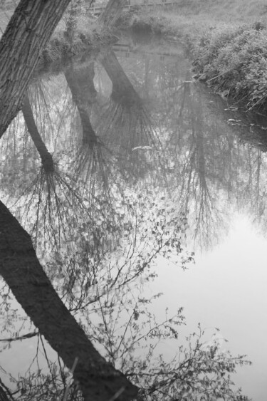 "8647 ruisseau" başlıklı Fotoğraf Dominique Goujard tarafından, Orijinal sanat