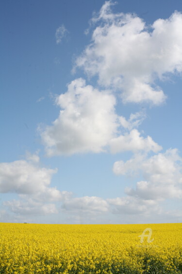 Photographie intitulée "8775 jaune et bleu" par Dominique Goujard, Œuvre d'art originale