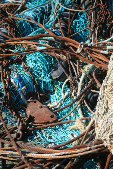 Fotografia zatytułowany „196 filet de pêche” autorstwa Dominique Goujard, Oryginalna praca, Fotografia cyfrowa