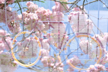 Photographie intitulée "1239 Vélo" par Dominique Goujard, Œuvre d'art originale, Photographie numérique