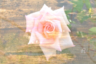 Photographie intitulée "1262 Rose" par Dominique Goujard, Œuvre d'art originale, Photographie numérique