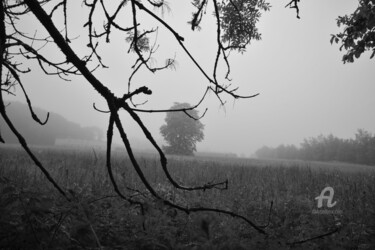 Photographie intitulée "1350 Brouillard" par Dominique Goujard, Œuvre d'art originale, Photographie numérique