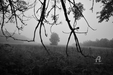 Photographie intitulée "1349 Brouillard" par Dominique Goujard, Œuvre d'art originale, Photographie numérique