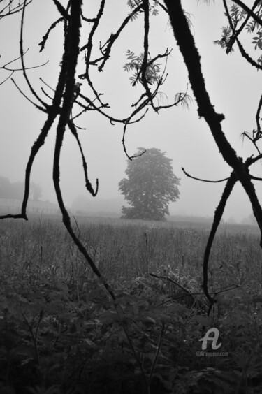 Photographie intitulée "1348 Brouillard" par Dominique Goujard, Œuvre d'art originale, Photographie numérique