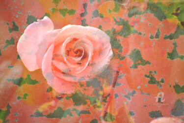Photography titled "1381 Rose" by Dominique Goujard, Original Artwork, Digital Photography