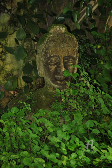 摄影 标题为“1474 Bouddha” 由Dominique Goujard, 原创艺术品, 数码摄影