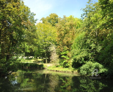 Photographie intitulée "2053 Plan d'eau" par Dominique Goujard, Œuvre d'art originale, Photographie numérique