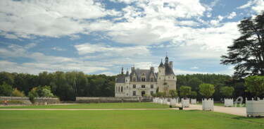 Photographie intitulée "2096 Château de Che…" par Dominique Goujard, Œuvre d'art originale, Photographie numérique