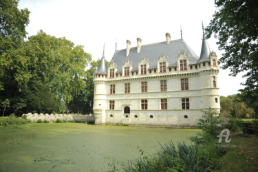Photographie intitulée "2138 Château AZAY-L…" par Dominique Goujard, Œuvre d'art originale, Photographie numérique