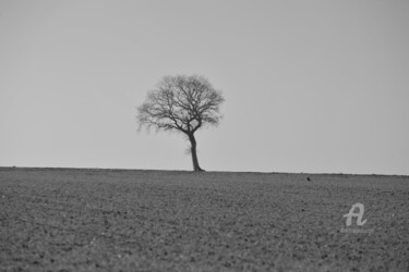 Fotografie getiteld "3395 arbre" door Dominique Goujard, Origineel Kunstwerk, Digitale fotografie