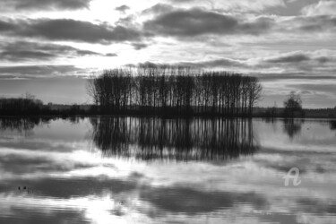 Photographie intitulée "3500 marais autour…" par Dominique Goujard, Œuvre d'art originale, Photographie numérique