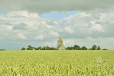 Photographie intitulée "Champs de blé" par Dominique Goujard, Œuvre d'art originale