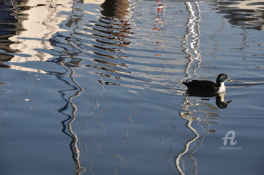 Photographie intitulée "Reflet et canard" par Dominique Goujard, Œuvre d'art originale