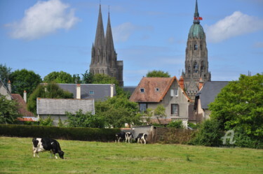 Photography titled "Cathédrale de Bayeux" by Dominique Goujard, Original Artwork