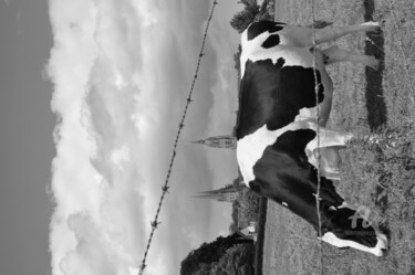 Photography titled "Vache Normandeavec…" by Dominique Goujard, Original Artwork