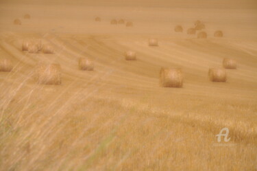 Photographie intitulée "Champs de blé flout…" par Dominique Goujard, Œuvre d'art originale