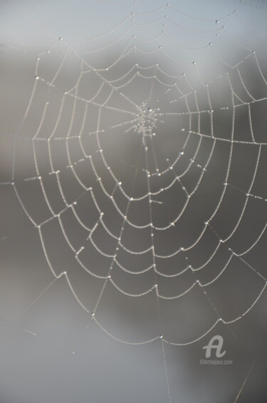 Photographie intitulée "Toile d'araignée" par Dominique Goujard, Œuvre d'art originale