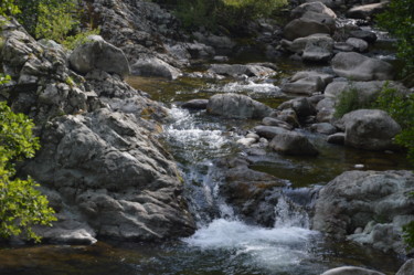 "Le ruisseau" başlıklı Fotoğraf Dominique Guillaume tarafından, Orijinal sanat, Dijital Fotoğrafçılık