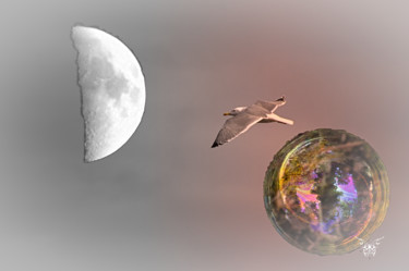Photographie intitulée "Terre à la lune" par Dominique Guillaume, Œuvre d'art originale, Photographie numérique
