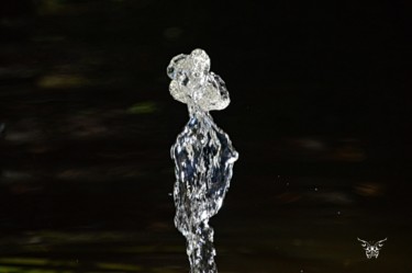 Photographie intitulée "L 'homme d eau" par Dominique Guillaume, Œuvre d'art originale, Photographie numérique