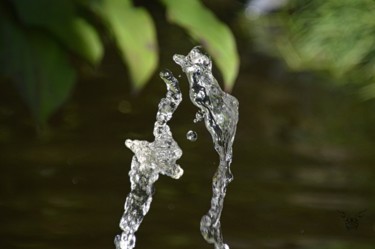 Photographie intitulée "Danse d'eau" par Dominique Guillaume, Œuvre d'art originale, Photographie numérique