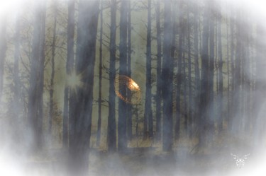 Photography titled "Forêt lumineuse" by Dominique Guillaume, Original Artwork, Digital Photography