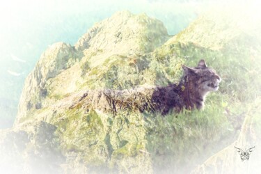Photography titled "Montagne aux chats" by Dominique Guillaume, Original Artwork, Digital Photography