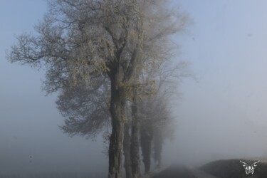 Photographie intitulée "Hivernal" par Dominique Guillaume, Œuvre d'art originale, Photographie numérique