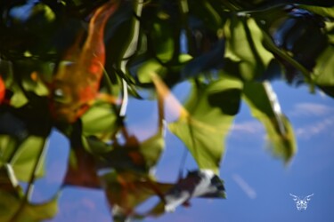 Photographie intitulée "Brouillage" par Dominique Guillaume, Œuvre d'art originale, Photographie numérique