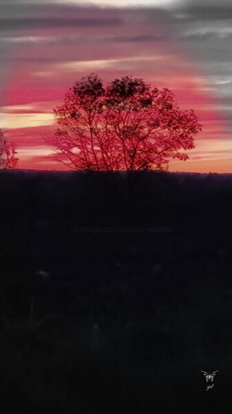 Photographie intitulée "Rougeoyant" par Dominique Guillaume, Œuvre d'art originale, Photographie numérique