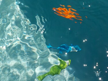 Photographie intitulée "Couleur de poisson" par Dominique Guillaume, Œuvre d'art originale, Photographie numérique