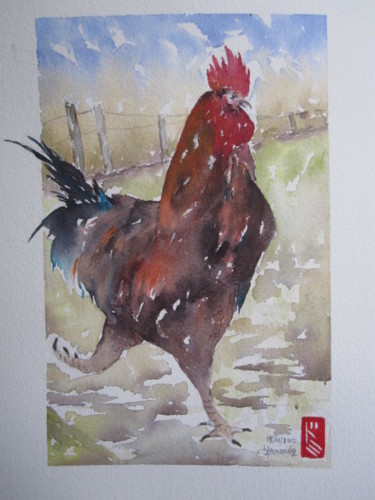 Painting titled "Roméo le Coq" by Dominique Hernandez, Original Artwork, Watercolor