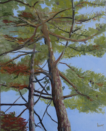 Peinture intitulée "Sous les pins, à Mo…" par Dominique Hieaux, Œuvre d'art originale, Huile