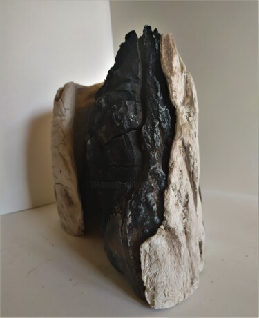 Sculptuur getiteld "Echo 2" door Dominique Jolivet, Origineel Kunstwerk, Keramiek