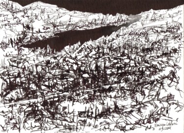 Dibujo titulada "Paysage, lac noir" por Dominique Leblanc, Obra de arte original, Tinta