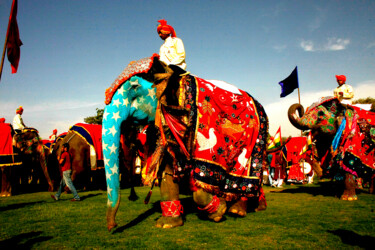 Photography titled "Fête des éléphants…" by Dominique Leroy, Original Artwork