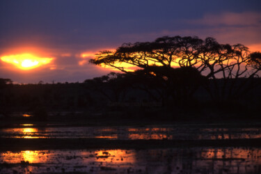 Photography titled "Pin parasol. Kenya." by Dominique Leroy, Original Artwork