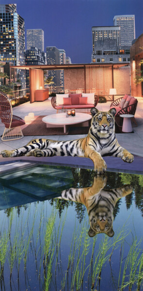 Collages titled "Tiger at the pool" by Dominique Loukidis, Original Artwork, Collages Mounted on Aluminium