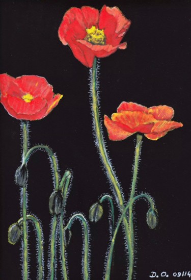 Drawing titled "Coquelicots" by Dominique Obry, Original Artwork